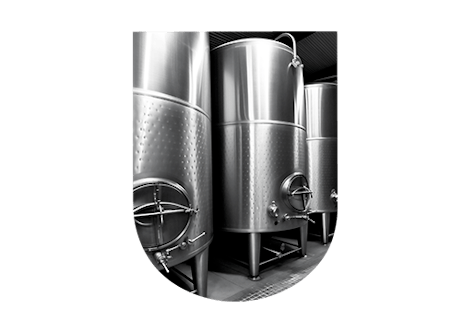 Fermentation alcoolique vin